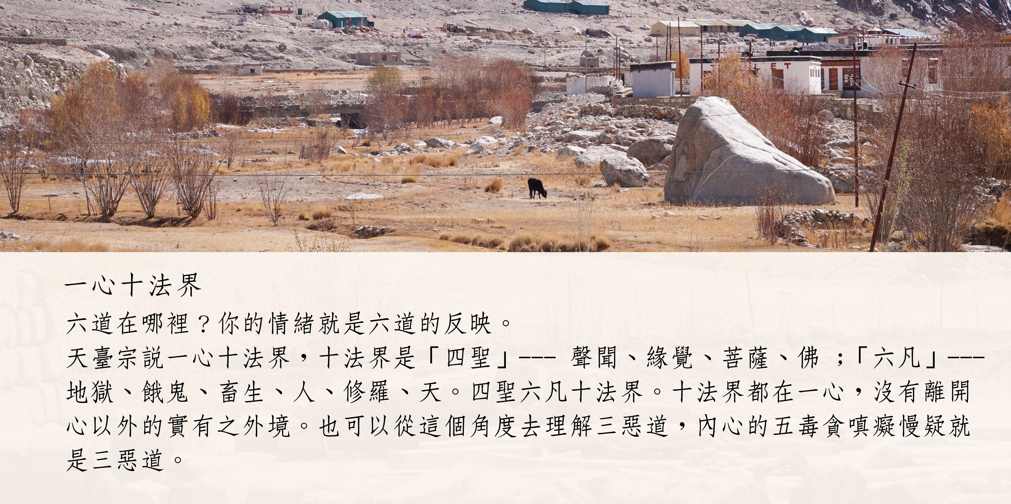 一心十法界