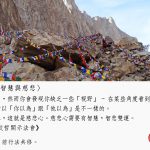 懂了，就翻牌了