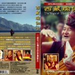 《西藏瑜伽士》DVD