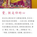 特效加持