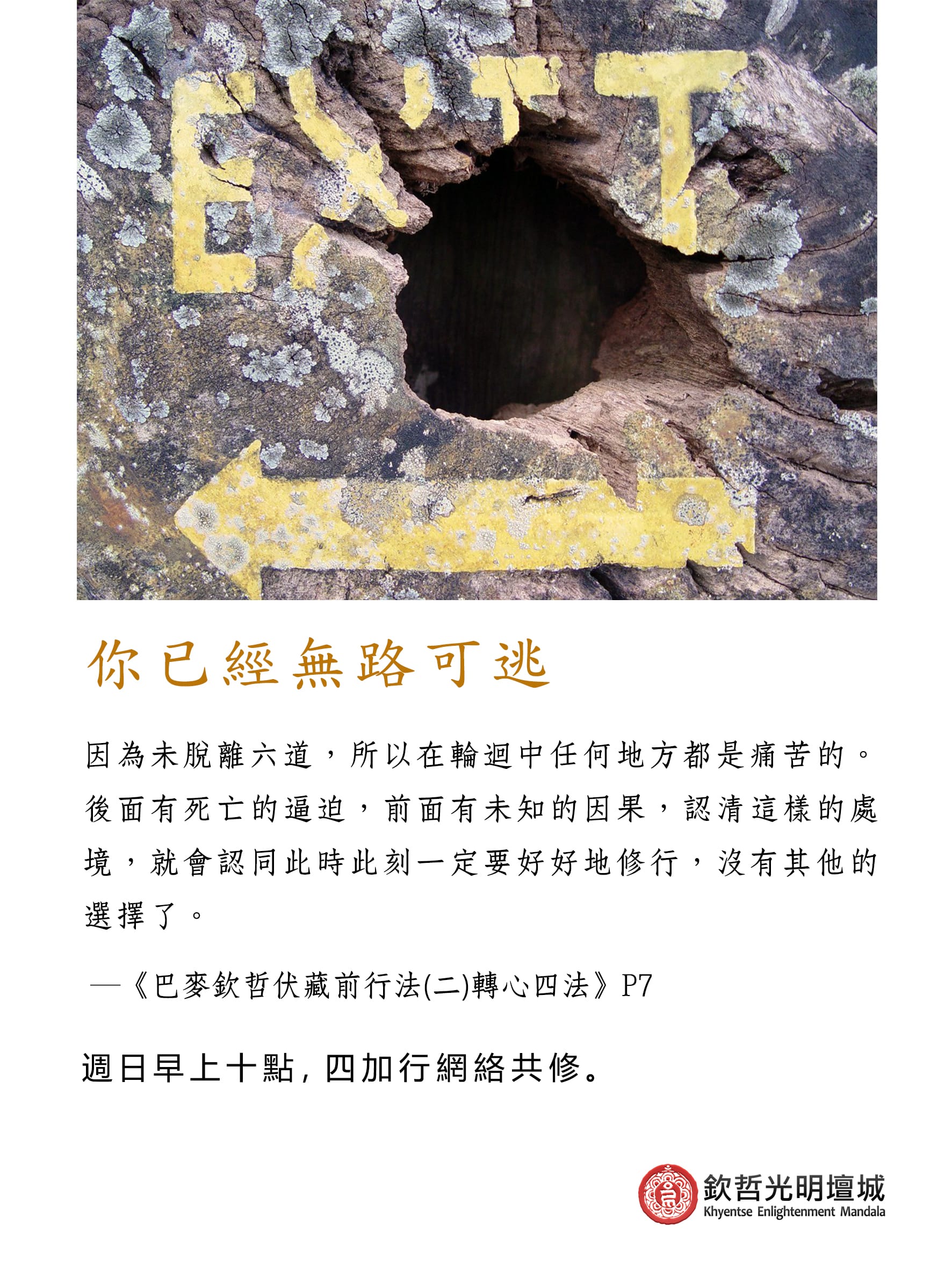 你已經無路可逃
