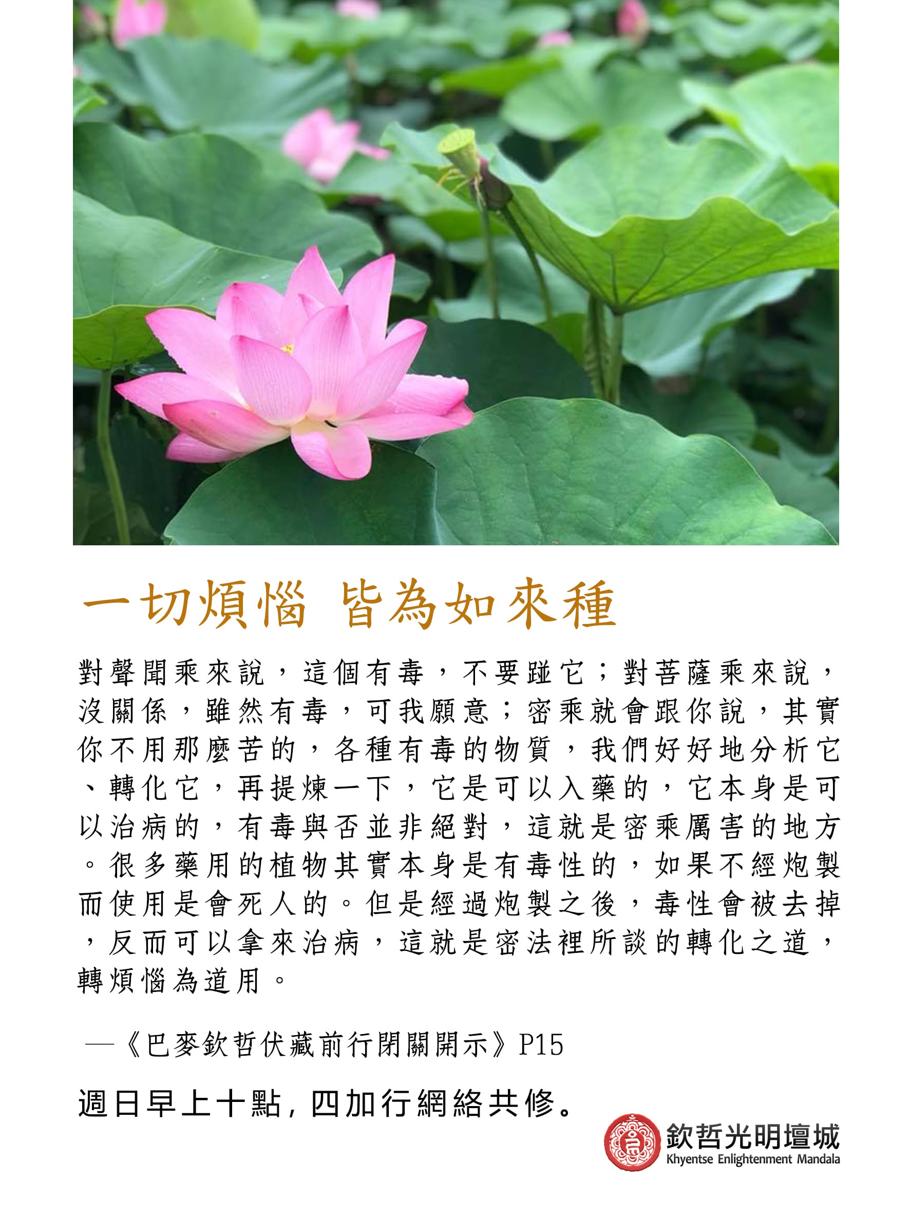 一切煩惱 皆為如來種
