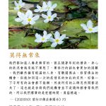 舒適圈裡非舒適