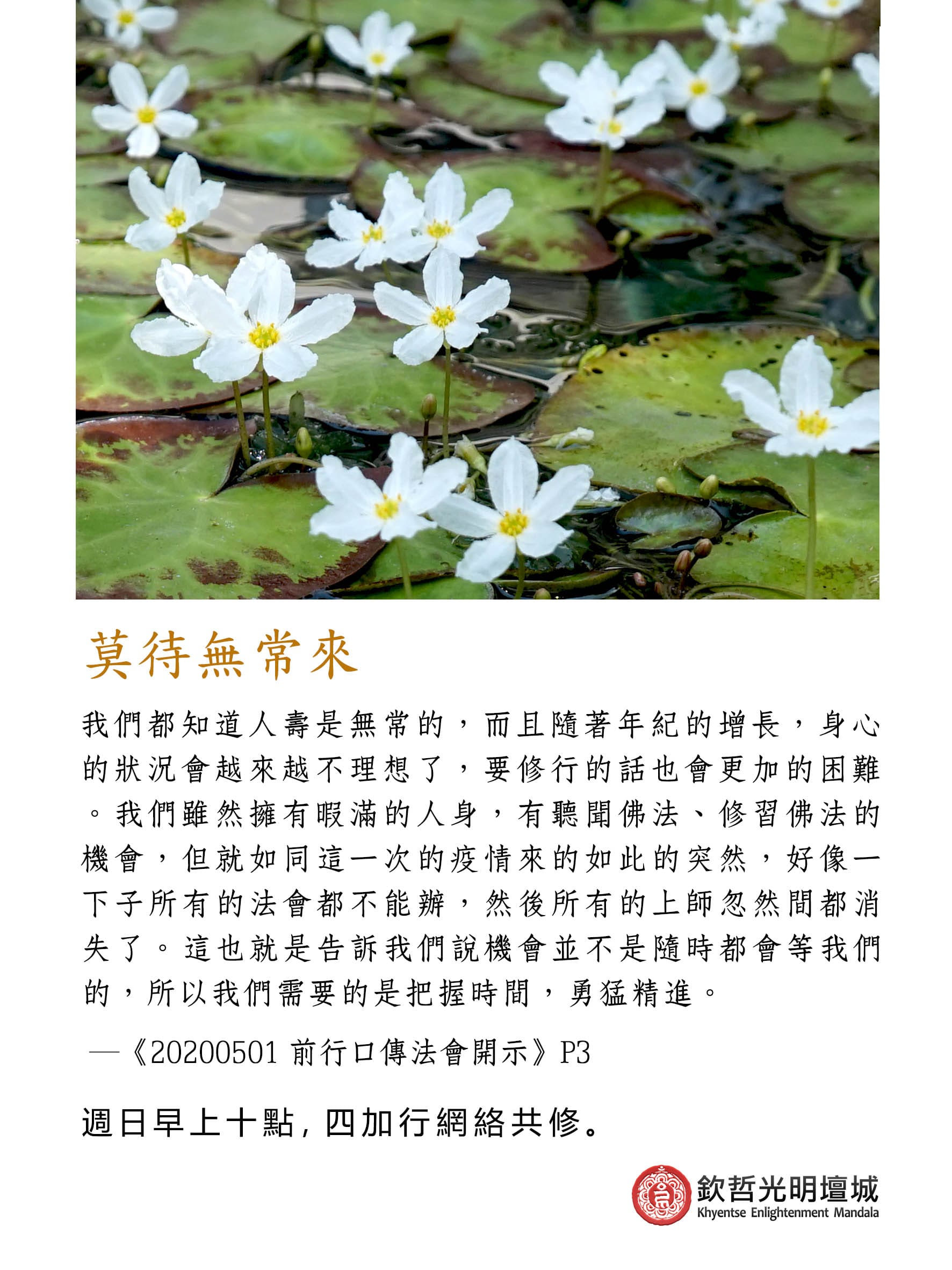 莫待無常來