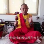 比丘瑜珈士堪布昆秋札西給欽哲光明壇城法友的2022農曆新年祝福