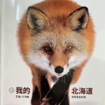經典雜誌第301期2023.08〈【細說宗教】虛構與真實 藏傳佛教的多元面貌〉